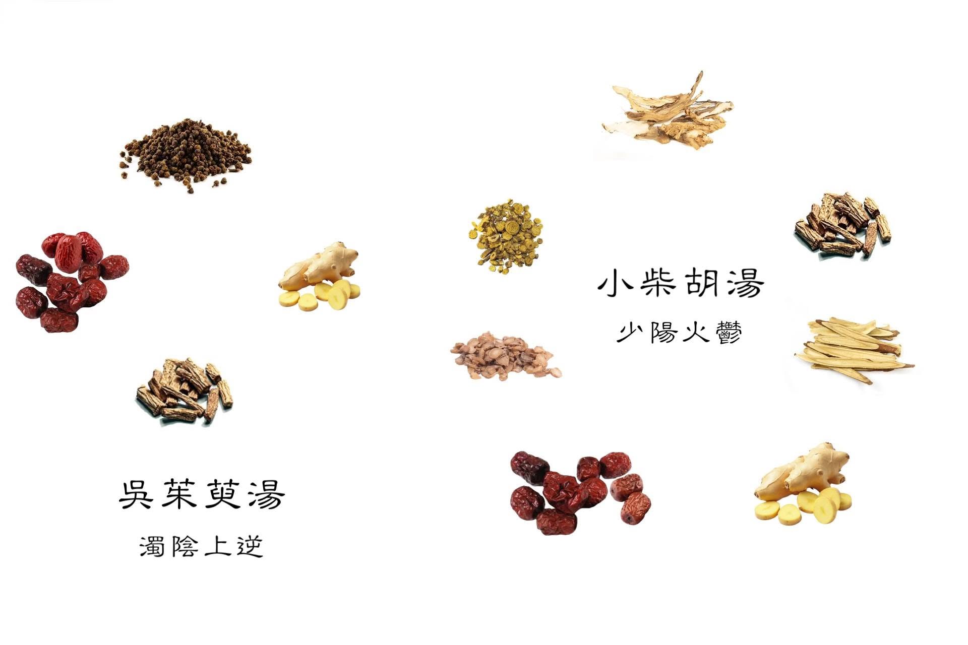 小柴胡湯與吳茱萸湯的中藥材及辨證概念圖